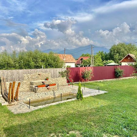 Pensiunea Casa Nina Cîrţişoara Extérieur photo