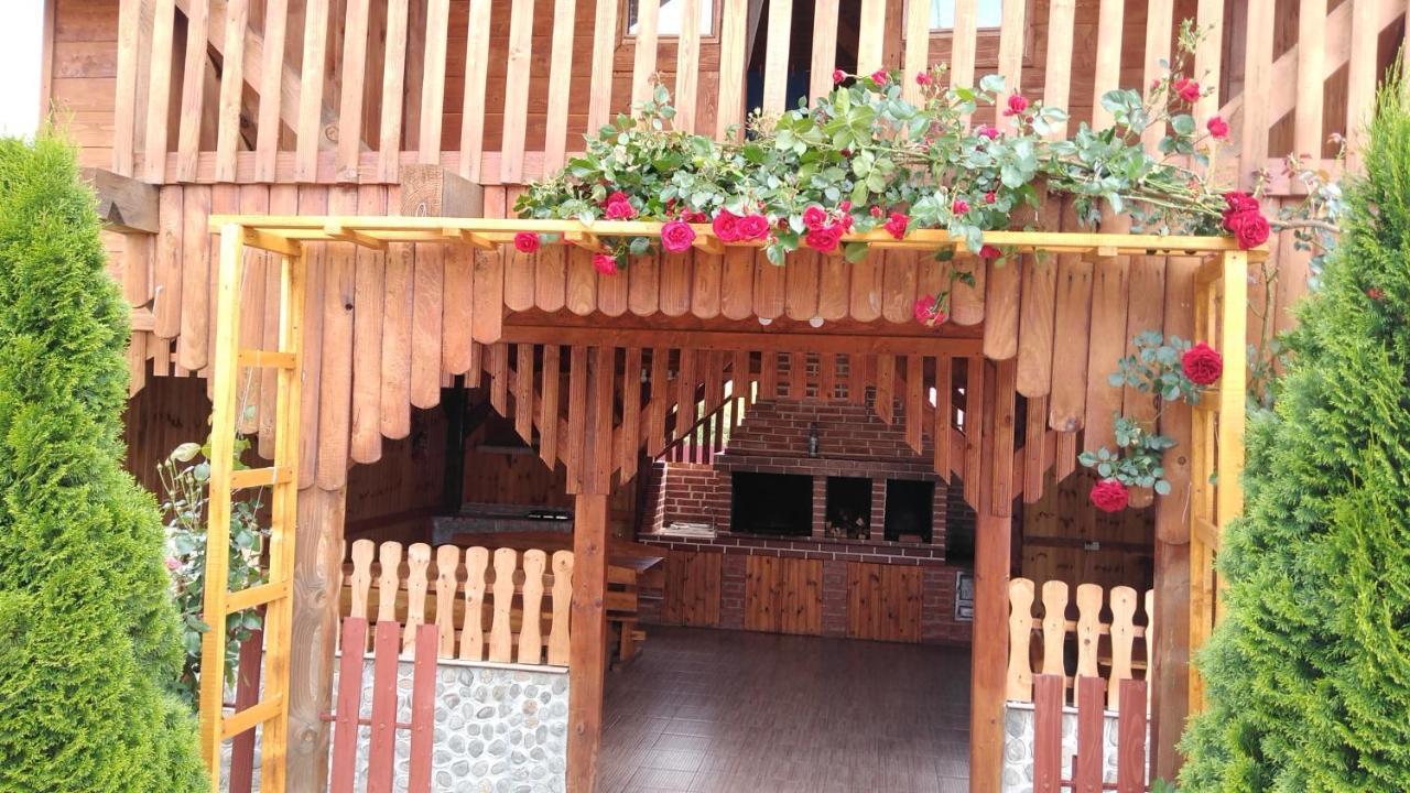 Pensiunea Casa Nina Cîrţişoara Extérieur photo