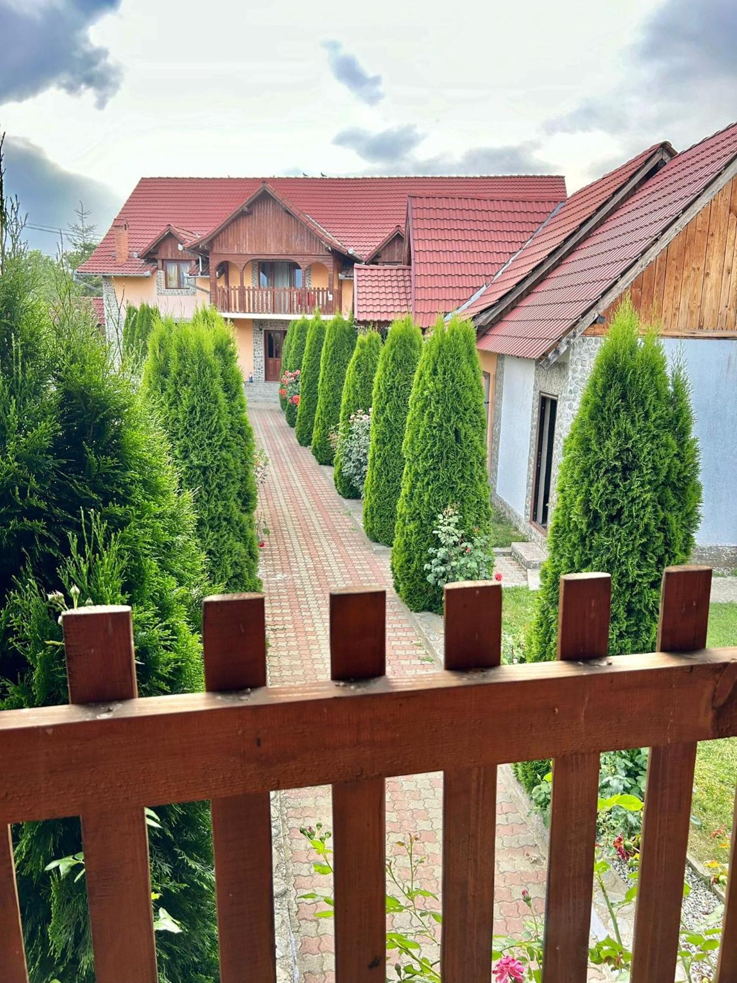 Pensiunea Casa Nina Cîrţişoara Extérieur photo