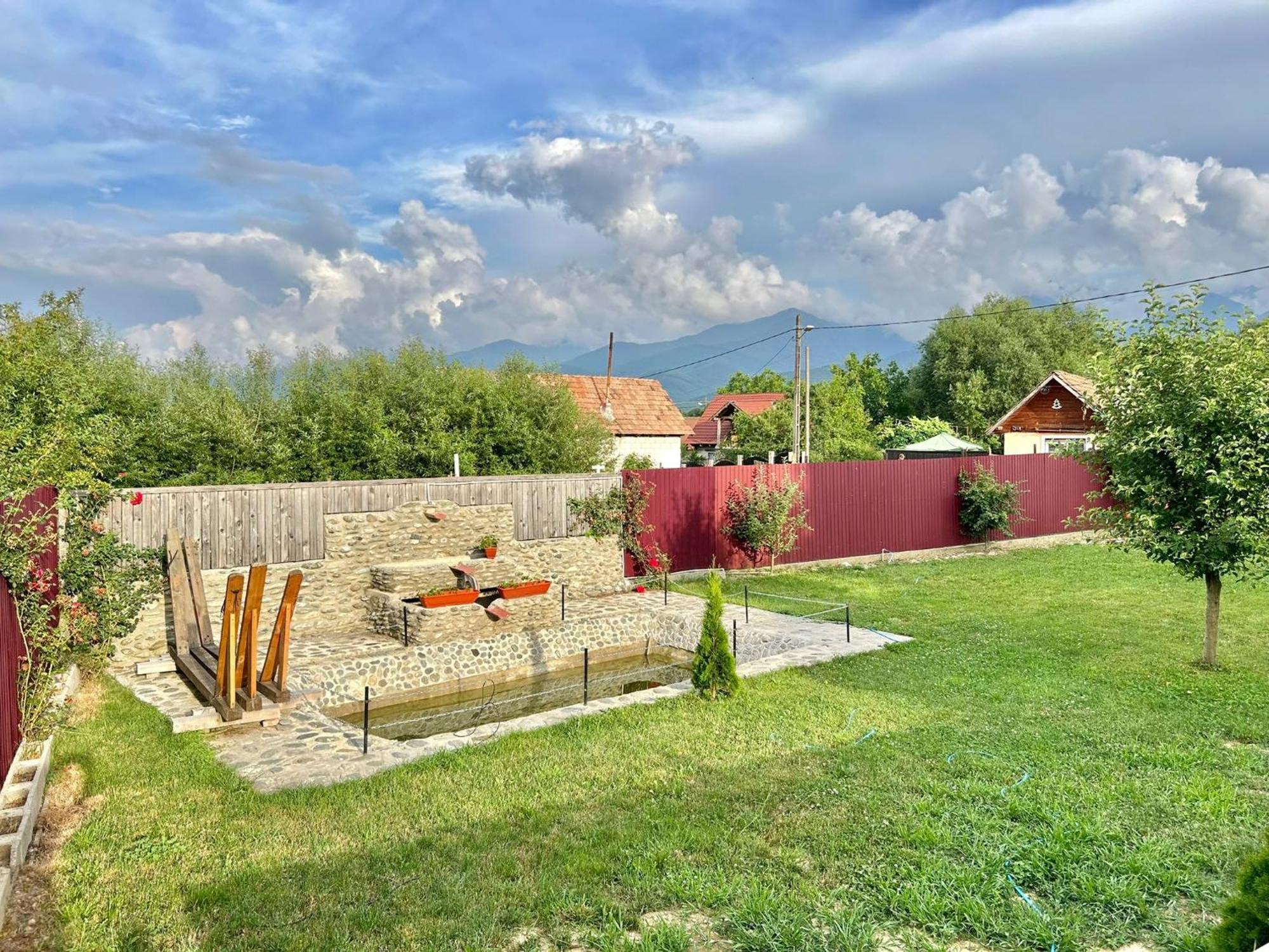 Pensiunea Casa Nina Cîrţişoara Extérieur photo