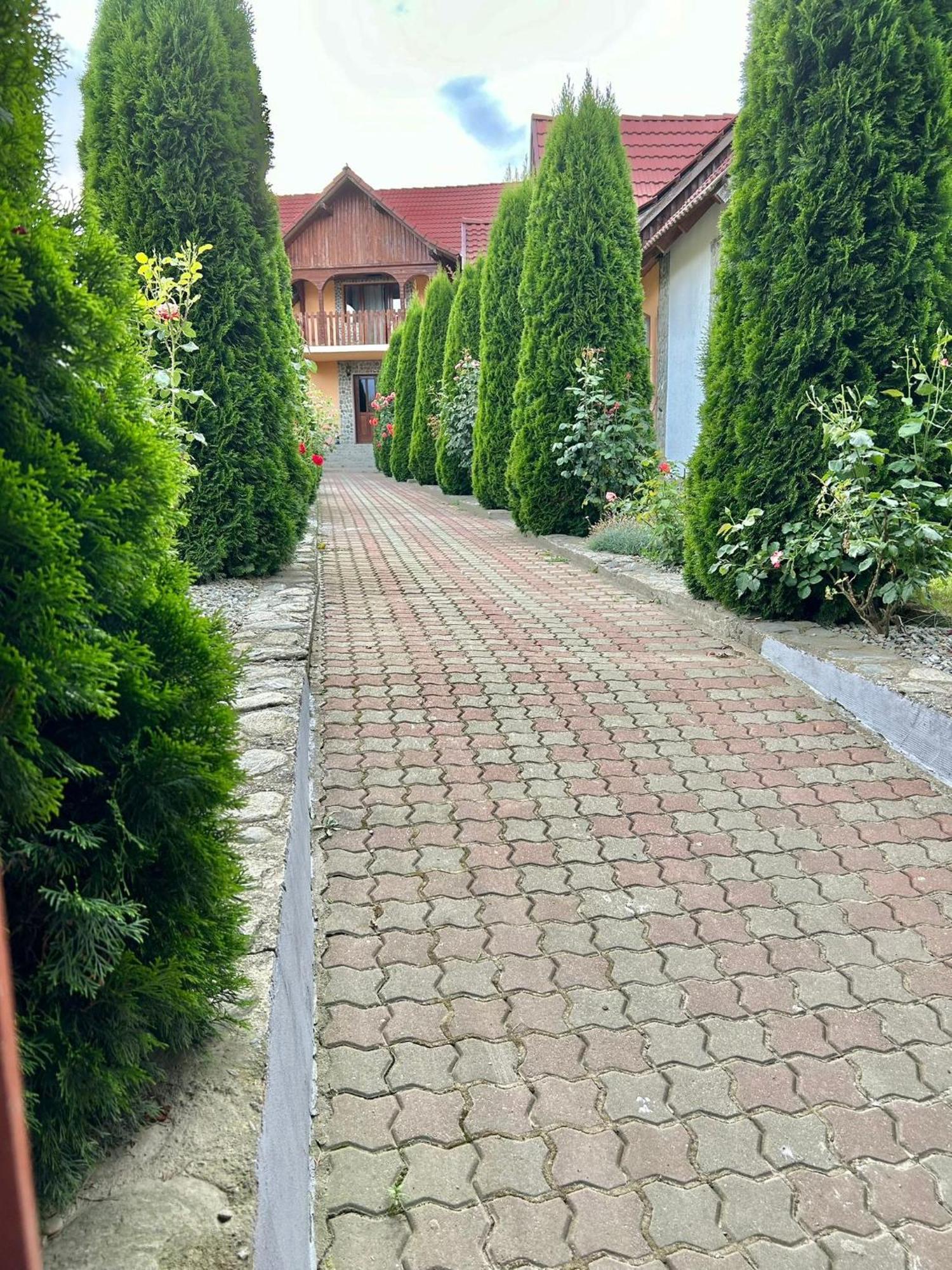 Pensiunea Casa Nina Cîrţişoara Extérieur photo