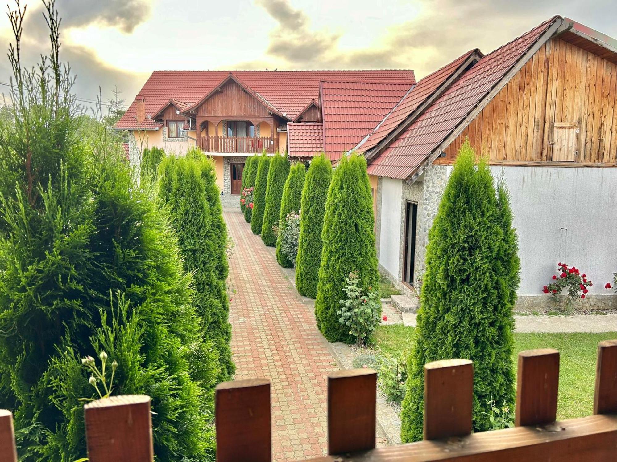Pensiunea Casa Nina Cîrţişoara Extérieur photo