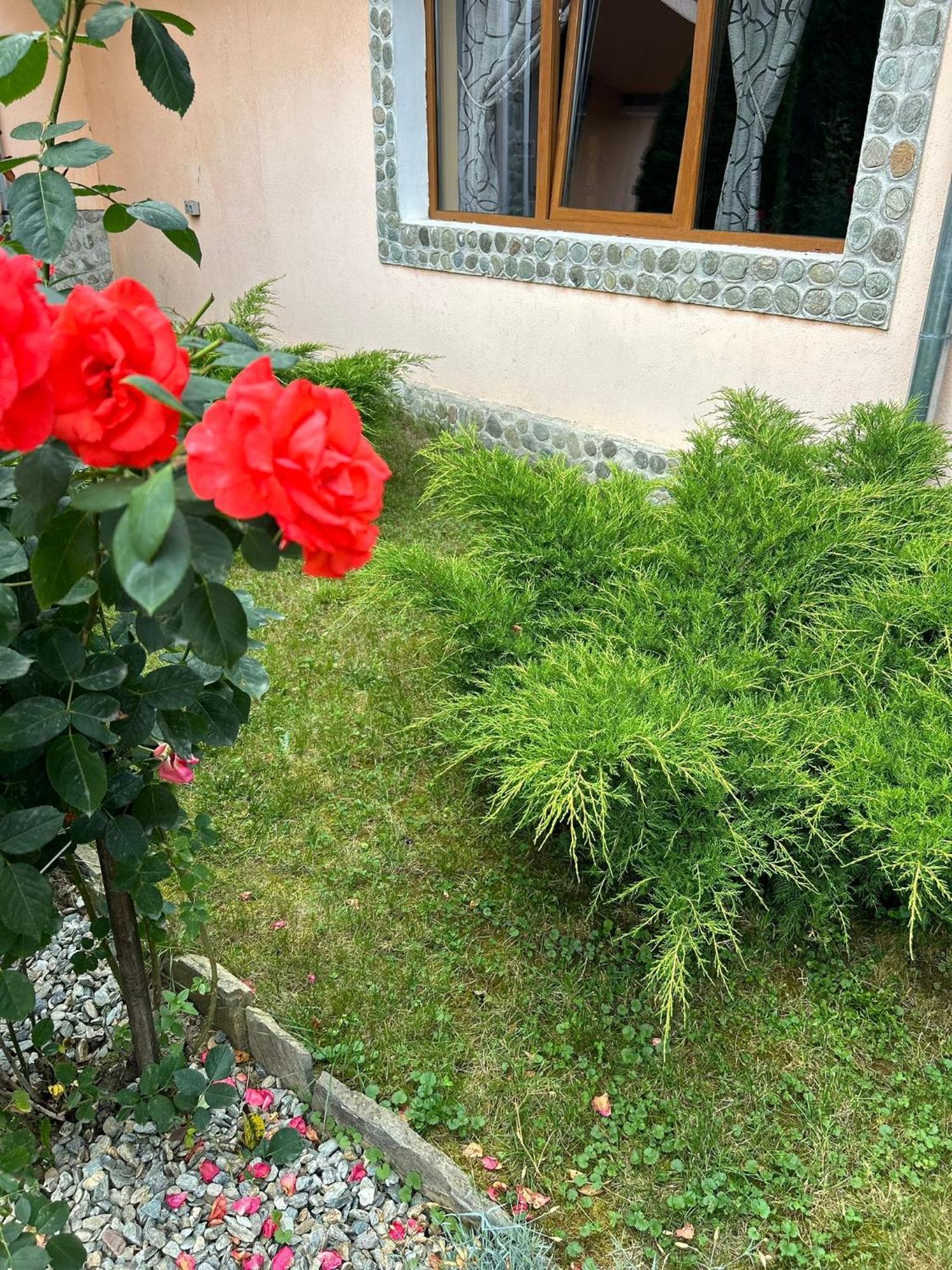 Pensiunea Casa Nina Cîrţişoara Extérieur photo