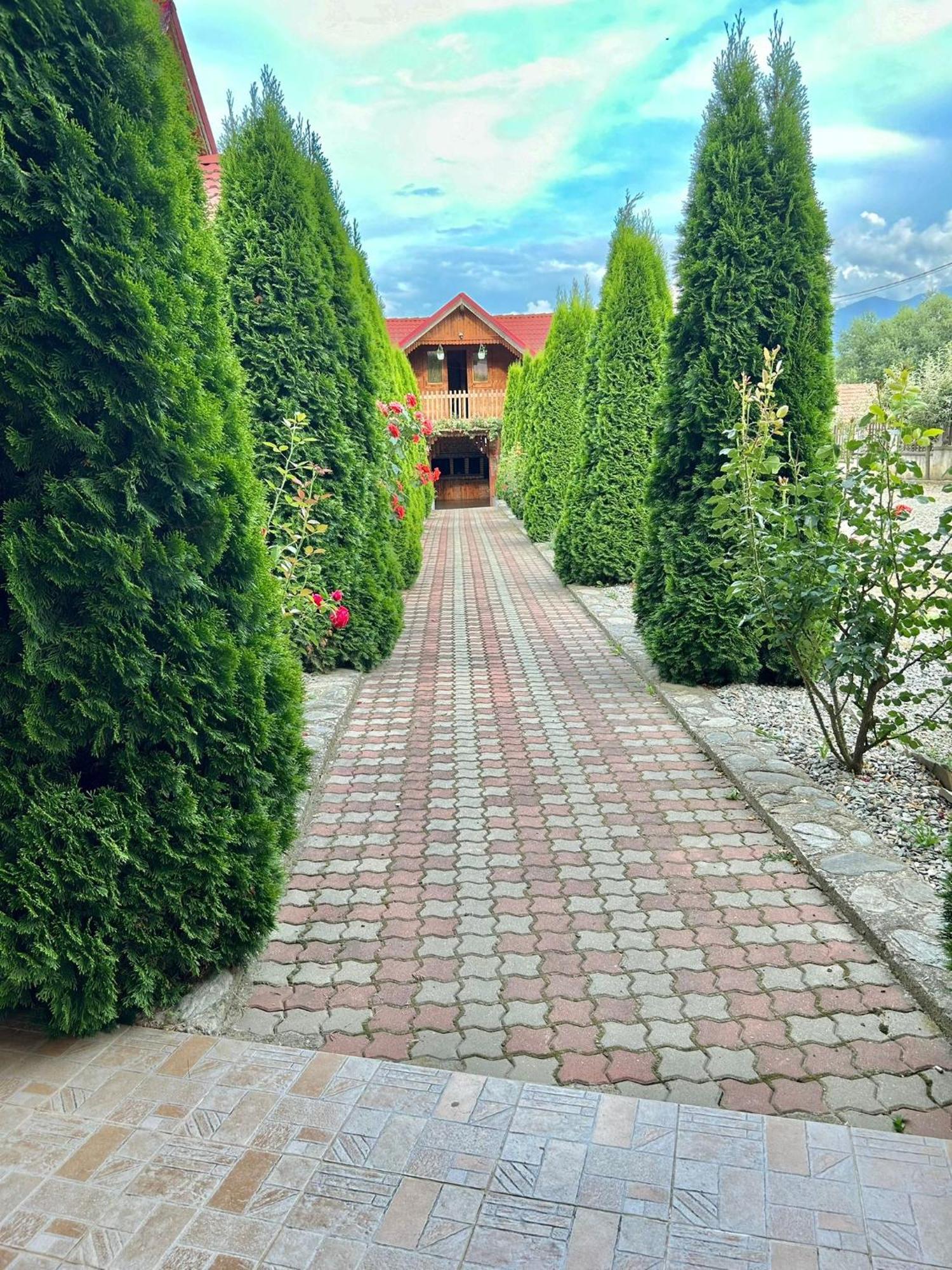 Pensiunea Casa Nina Cîrţişoara Extérieur photo